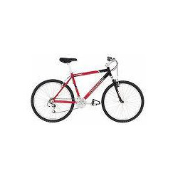 Bicicleta carrera mod. B